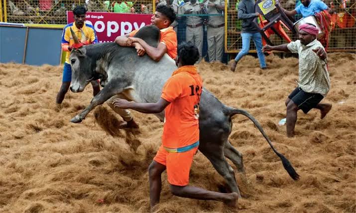 Jallikattu: பாலமேடு ஜல்லிக்கட்டில் 14 காளைகளை அடக்கிய வீரன்..!