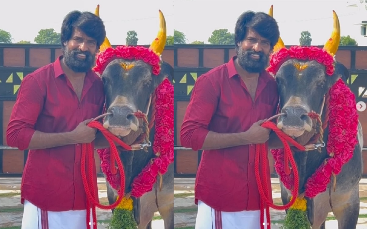 Jallikattu: ஜல்லிகட்டில் வீரர்களை மிரட்டிய நடிகர் சூரியின் காளை