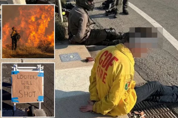 ஒரு பக்கம் அணல் பறக்கும் காட்டுத் தீ மறு பக்கம் கையில் விலங்குகளோடு கள்வர்கள் LA FIRE NEWS