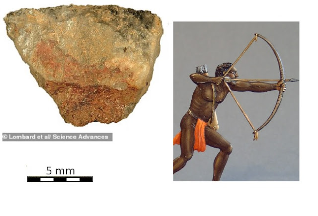 உலகின் முதல்  விஷம் தடவப்பட்ட அம்பு: 60,00 ஆயிரம் ஆண்டு பழையது என்றால் நம்புவீர்களா ?