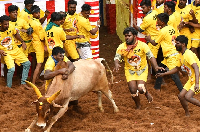 மதுரை அதிரப்போகுது:  சீறும் காளைகள்.. அவனியாபுரம், பாலமேடு, அலங்காநல்லூர் ஜல்லிக்கட்டு தேதிகள் இதோ!